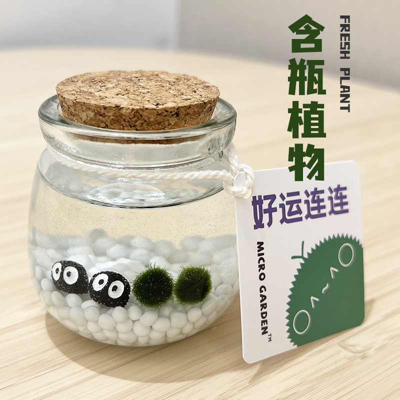 海藻球生态瓶创意迷你植物趣味微景观培养儿童动手力室内水草盆栽 鲜花速递/花卉仿真/绿植园艺 海藻球 原图主图