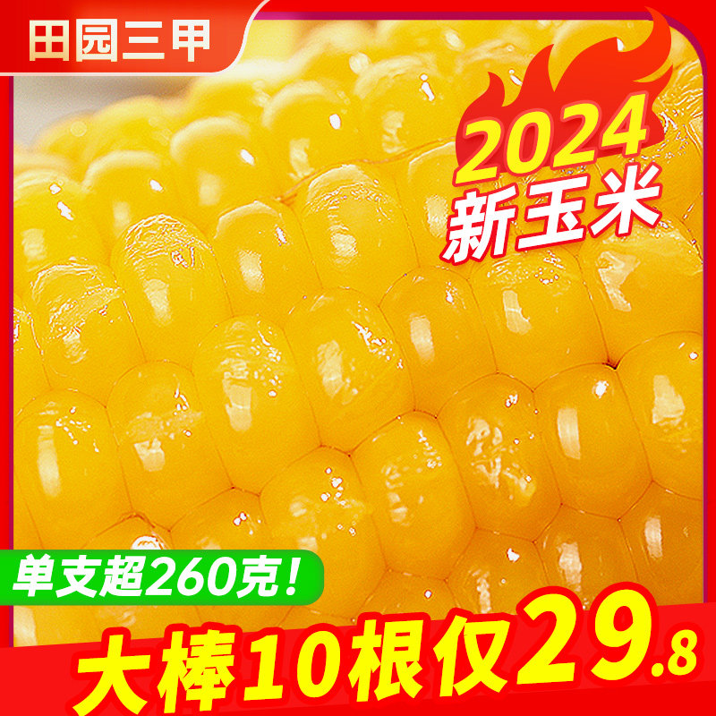 大棒280g甜糯玉米糯玉米新鲜真空包装袋黏甜糯即食东北玉米棒即食