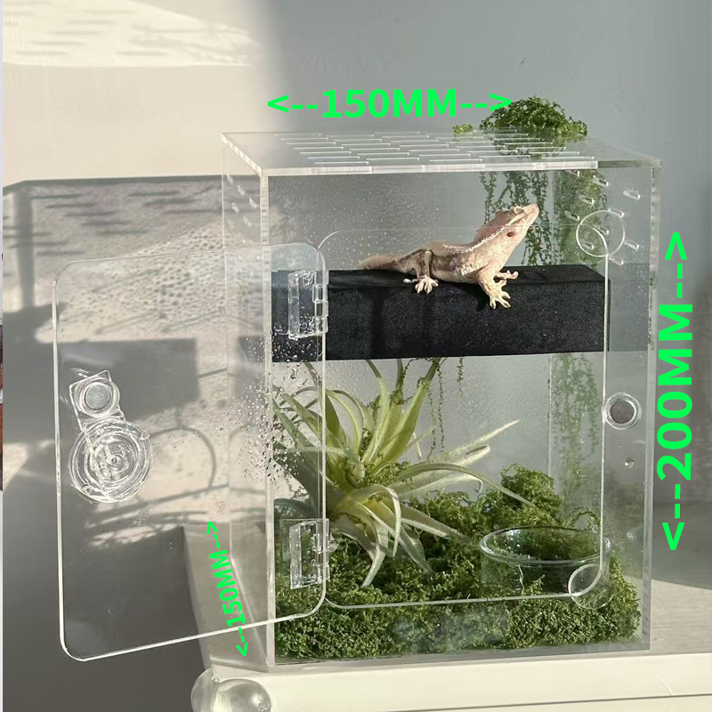 元禾晟爬宠造景饲养箱通风透光防逃蜥蜴树蛙守宫树栖专用观赏盒
