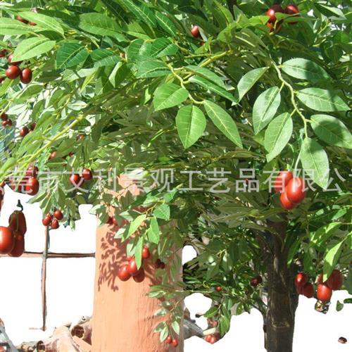 核桃树植物人造大型塑料开心果树红枣树园林景观装饰树景观树