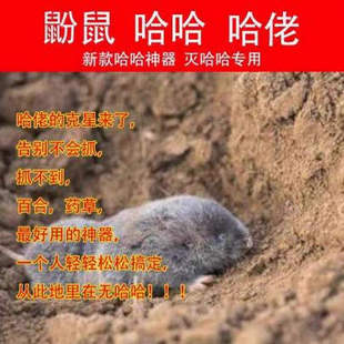 熏鼢鼠药烟雾灭哈哈瞎老田鼠地排子地爬子哈老药地下哈哈瞎老鼠药