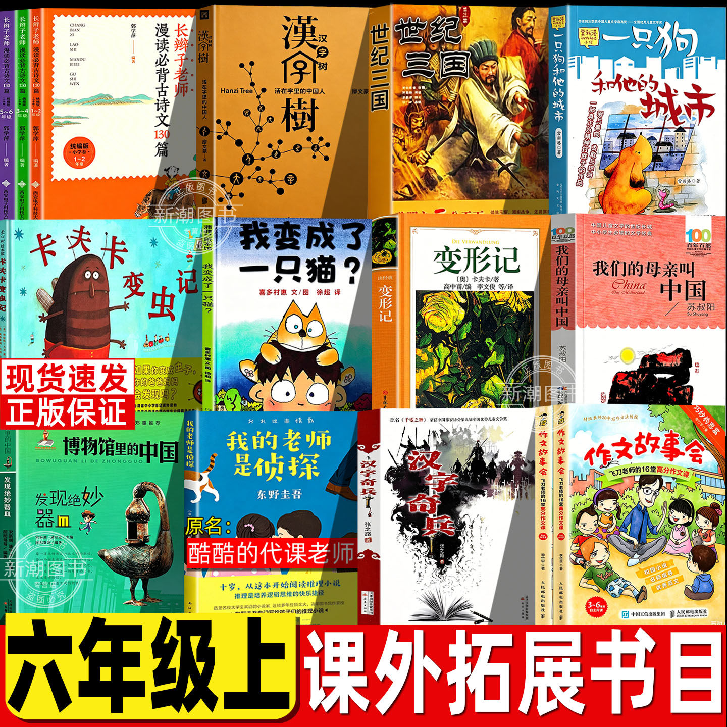 世纪三国罗伯英潘绘二十一世纪出版社汉字树活在字里的中国人卡夫卡变虫记我变成了一只猫酷酷的代课老师汉字作文故事会六年级上册 - 实物图