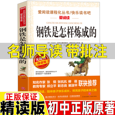 钢铁是怎样炼成的初中正版原著