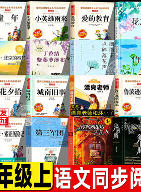 草原北京的春节老舍著六年级必读课外书花之歌纪伯伦紫藤萝瀑布竹节人城南旧事林海音第三军团放慢脚步去长大童年高尔基快乐读书吧