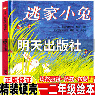 逃家小兔明天出版社非注音版绘本一年级二年级上册下册通用正版玛格丽特怀兹布朗著克雷门赫德图彩图美绘非注音版非拼音版信谊系列