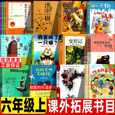 汉字树活在字里的中国人廖文豪六年级上必读课外书世纪三国罗伯英潘绘卡夫卡变虫记变形记一只狗和他的城市酷酷的代课老师汉字奇兵