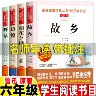 故乡野草彷徨朝花夕拾鲁迅原著正版鲁迅作品集六年级上册必读的课外书名师导读带批注无障精读版小学生青少年版三四五六年级课外书
