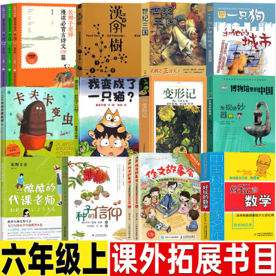好玩的数学谈祥柏著六年级上册课外书中国科普名家名作中国少年儿童出版社汉字树活在字里的中国人世纪三国罗伯英潘绘种子的信仰