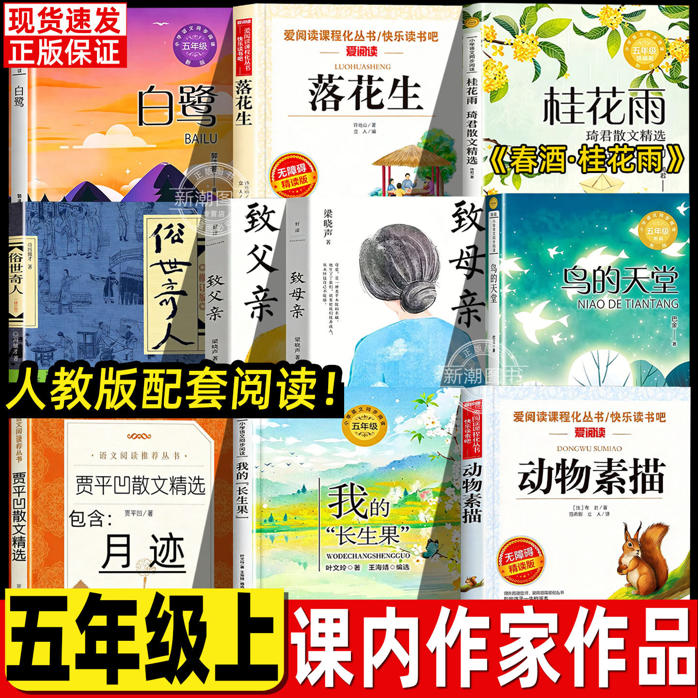 白鹭课外书五年级上册必读郭沫若著落花生春酒桂花雨琦君俗世奇人致父亲致母亲鸟的天堂我拉长生果月迹动物素描人教版教材推荐配套