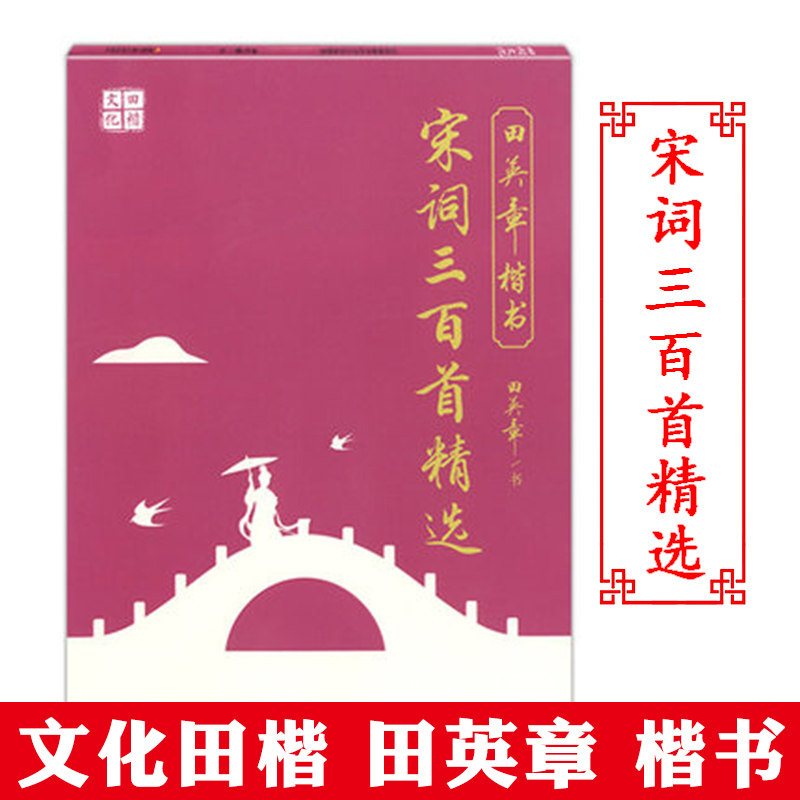 田楷文化 田英章楷书 宋词三百首精选 规范汉字字帖 钢笔字-楷书-法帖