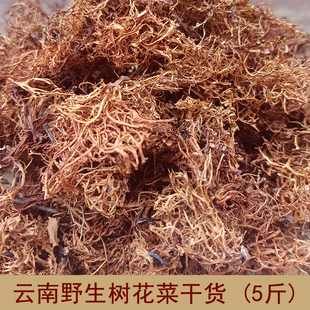 云南特产野生树花菜树皮树花树胡子凉拌菜山珍干货树毛菜山货