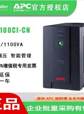 施耐德UPS电源 BX1100CI-CN 660W 内置电池  Back-UPS 1100VA