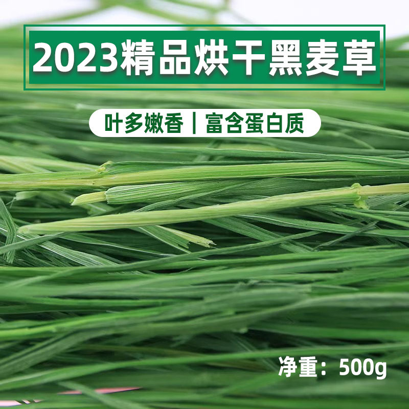 23年优质烘干黑麦草兔子龙猫豚鼠牧草干草多叶嫩绿香绿净重500g 宠物/宠物食品及用品 兔兔干草 原图主图