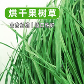 2025果树草高纤维牧草烘干草小宠兔子龙猫荷兰猪豚鼠饲料毛重1kg