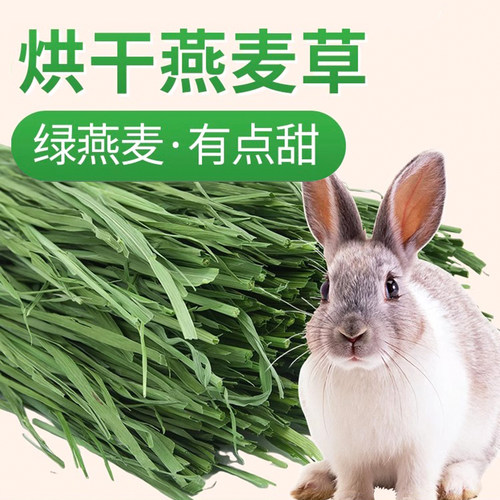 精灵粟烘干燕麦草兔子龙猫豚鼠