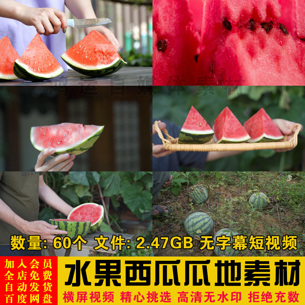 绿色农产品园田种植瓜地水果切西瓜特写画面镜头短视频剪辑素材