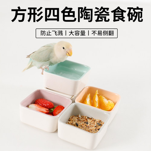 高能鹦鹉陶瓷食碗防打翻防侧翻