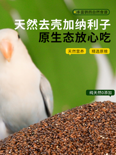 鹦鹉鸟粮脱壳加纳利子仁玄凤牡丹虎皮小太阳专用无壳饲料奖励零食