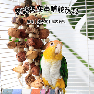鹦鹉玩具解闷自嗨磨牙和尚玄凤小太阳牡丹啃咬鸟玩具大全笼内装 饰