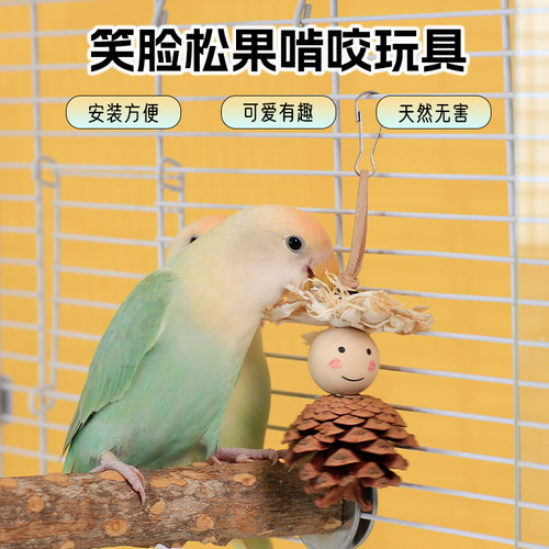 高能鹦鹉天然啃咬玩具松果鸟玩具