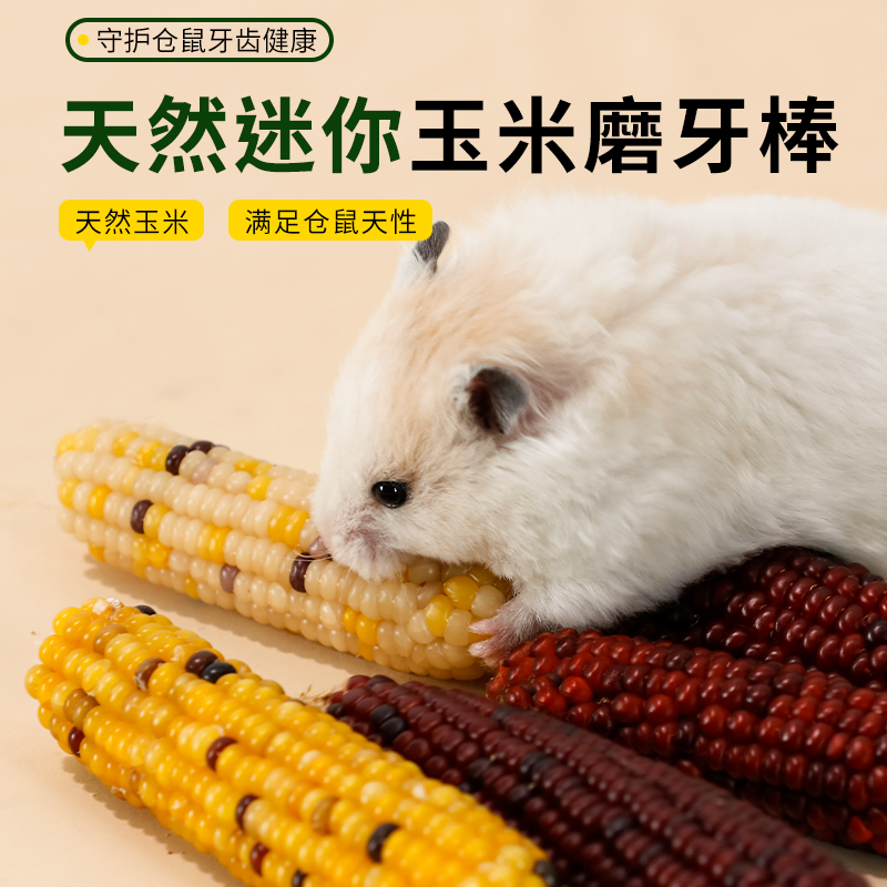 仓鼠金丝熊玉米磨牙棒迷你小零食