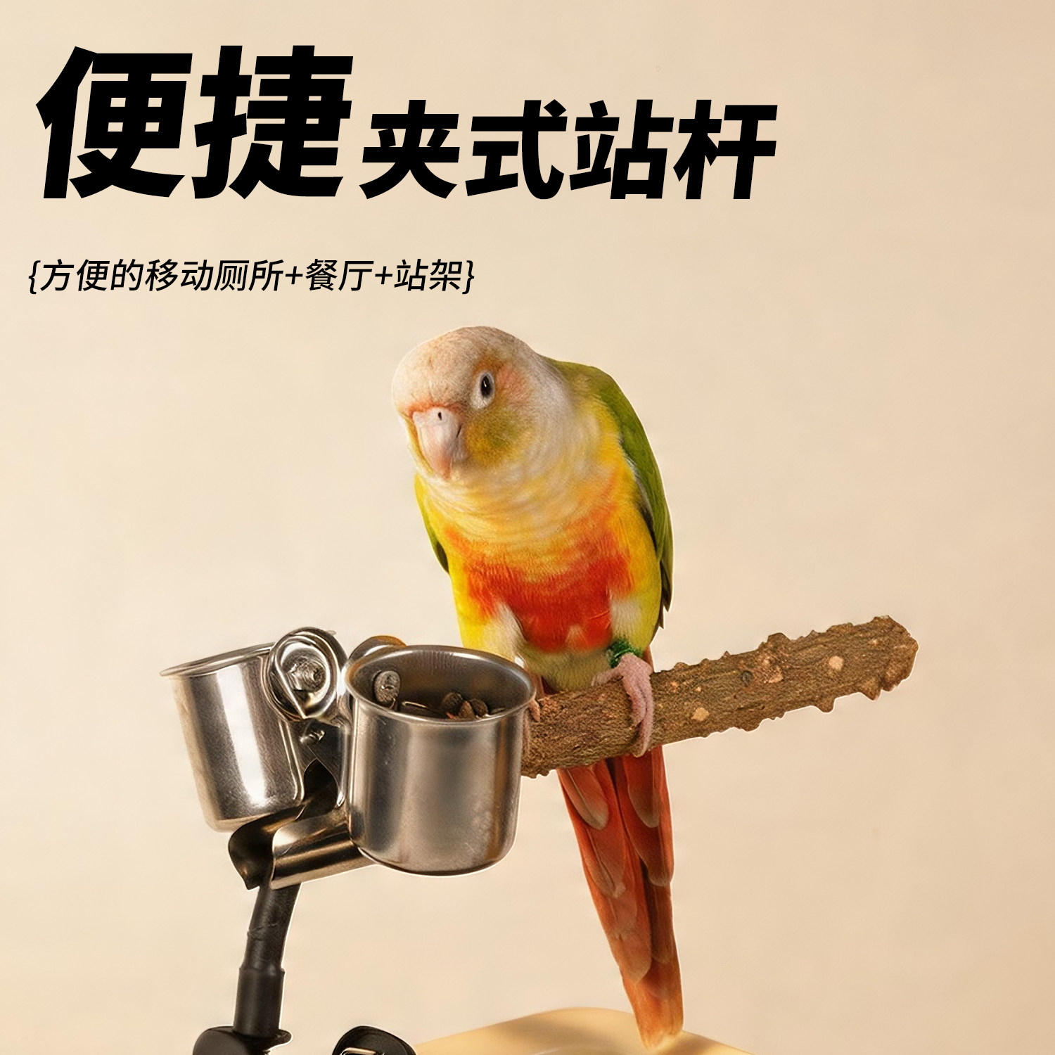 鹦鹉定点排便站架垃圾桶夹子站杆小太阳拉屎神器花椒木鸟用品大全