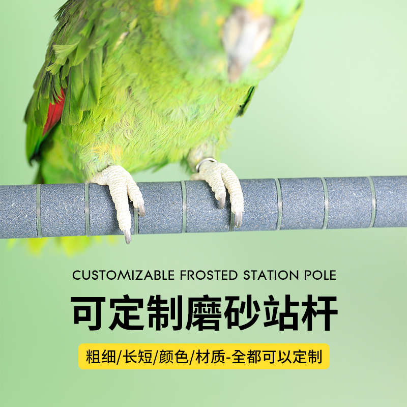 高能鹦鹉定制磨爪站杆杆磨爪磨喙