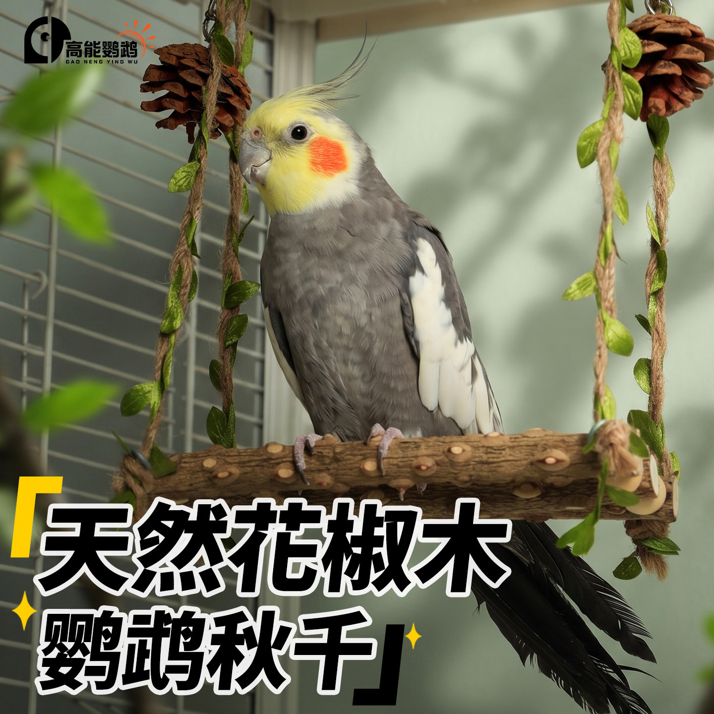 哔哔鸡鹦鹉天然花椒木吊桥秋千图片