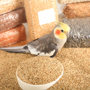 高能鹦鹉鹦鹉鸟食加纳利子白尖粟金丝雀芙蓉鹦鹉黄雀玄凤鸟粮配料