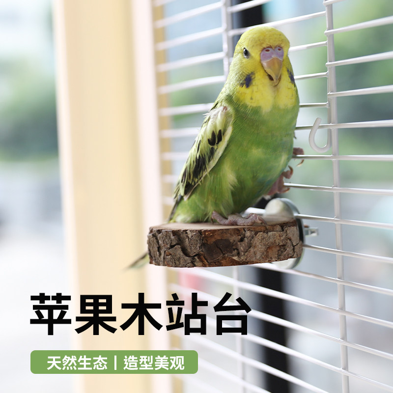 和尚鹦鹉苹果木站台鸟笼配件原木站棍树干鹦鹉用品跳台休息平台架,宠物/宠物食品及用品,鸟禽其他,淘宝优惠券,粉丝福利购,淘宝优惠卷