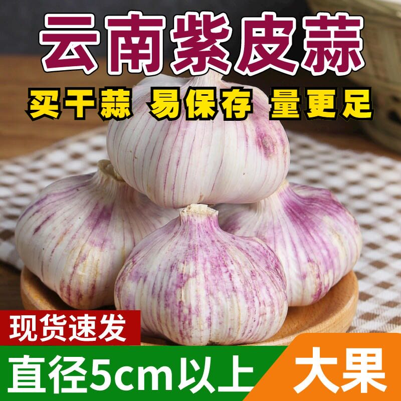 云南高原紫皮大蒜干蒜10斤包邮特大果瓣蒜农家自产老品种紫皮蒜种