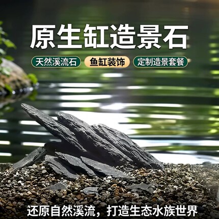 原生缸片岩石造景石主石天然溪流缸鱼缸造景底部石头乌龟晒台专用