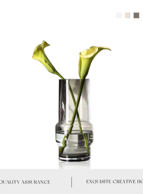 MOLA.Soviet.玻璃花瓶透明现代简约客厅装饰品北欧餐桌摆件丨苏萨