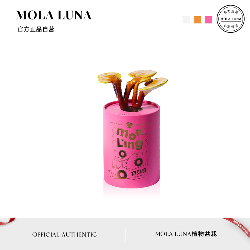 MOLALUNA招财灵灵芝礼盒