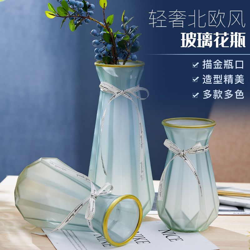 网红ins北欧风轻奢玻璃花瓶鲜花水养满天星摆件干花插花花瓶
