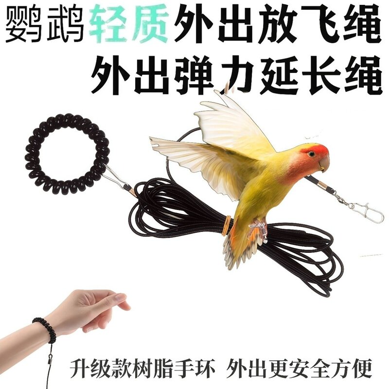 鹦鹉鸟小宠用超轻放飞绳牵引延长绳虎皮牡丹玄凤小太阳和尚遛鸟绳