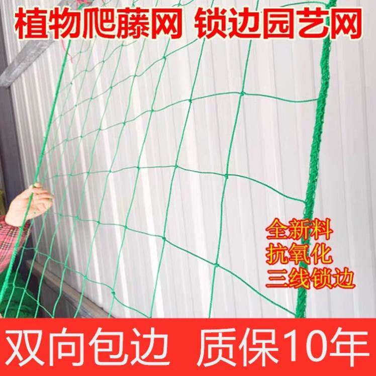 攀爬网植物种植爬藤网拉绳