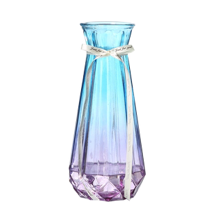 【二件套】特大号玻璃花瓶透明水养富贵竹百合花瓶摆件客厅插花瓶