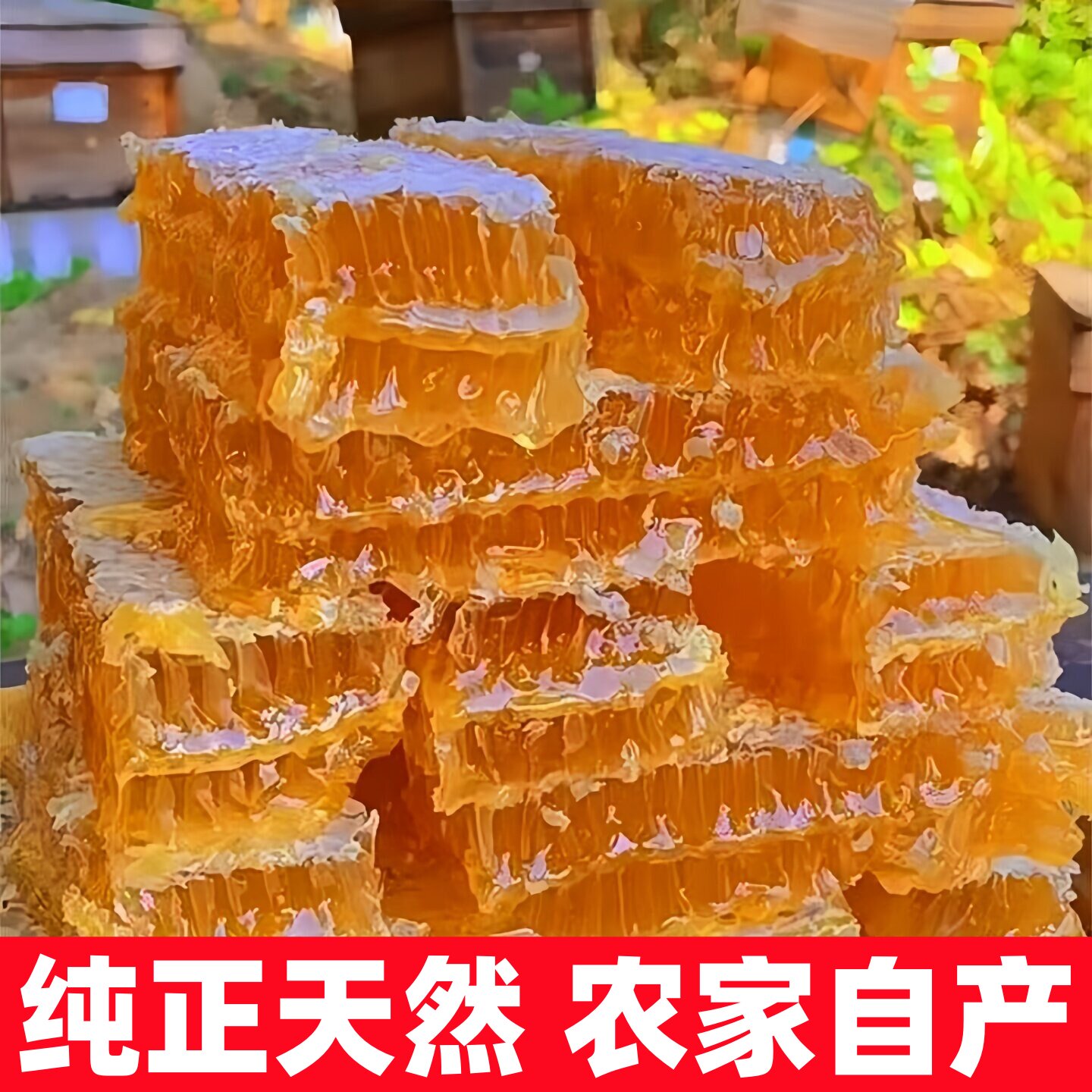 蜂巢蜜500g蜂巢蜜嚼着吃土蜂蜜纯正天然农家自产蜂窝蜜采百花蜜花