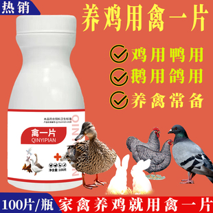 禽一片100片正品禽类养殖鸡鸭鹅通用家禽常备 养鸡专用饲料添加剂