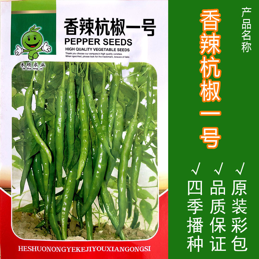 香辣王线椒种子辣椒种子杭椒种子线椒苗辣椒苗 又长又辣蔬菜种子