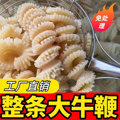 特大一级品新鲜冷冻牛鞭花免处理