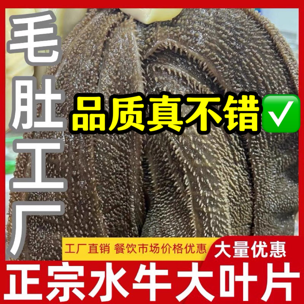 正宗优质水牛大叶片毛肚新鲜毛肚水牛牛百叶毛肚火锅食材商用