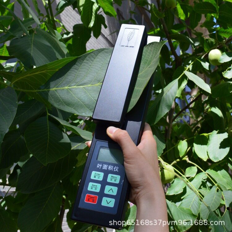 LAM手持式叶面积仪 便携式仪 植物活体无损检测 指数植物检测