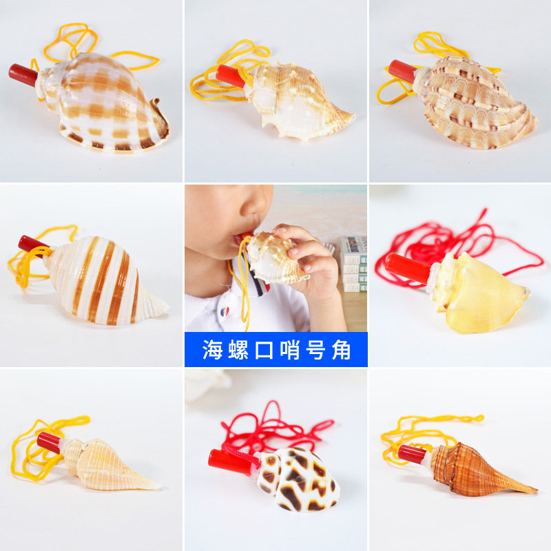 天然海螺口哨号角可吹响大海螺工艺品创意儿童礼物玩具哨子批发图片