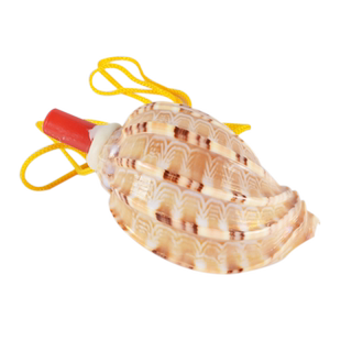 天然大海螺口哨号角可吹响海螺贝壳工艺品创意礼物儿童玩具哨子