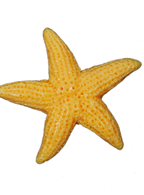 心愿盒子树脂海星装饰