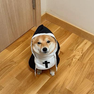 狗狗猫咪宠物衣服~好可爱