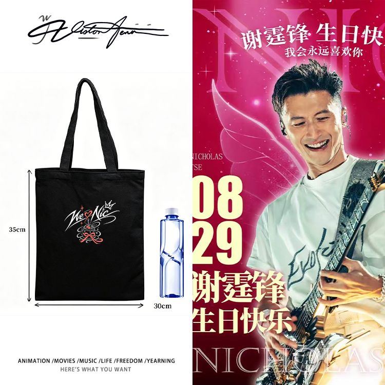 Evolution进化谢霆锋生日粉丝自制应援服定制DIY帆布包袋单肩手提