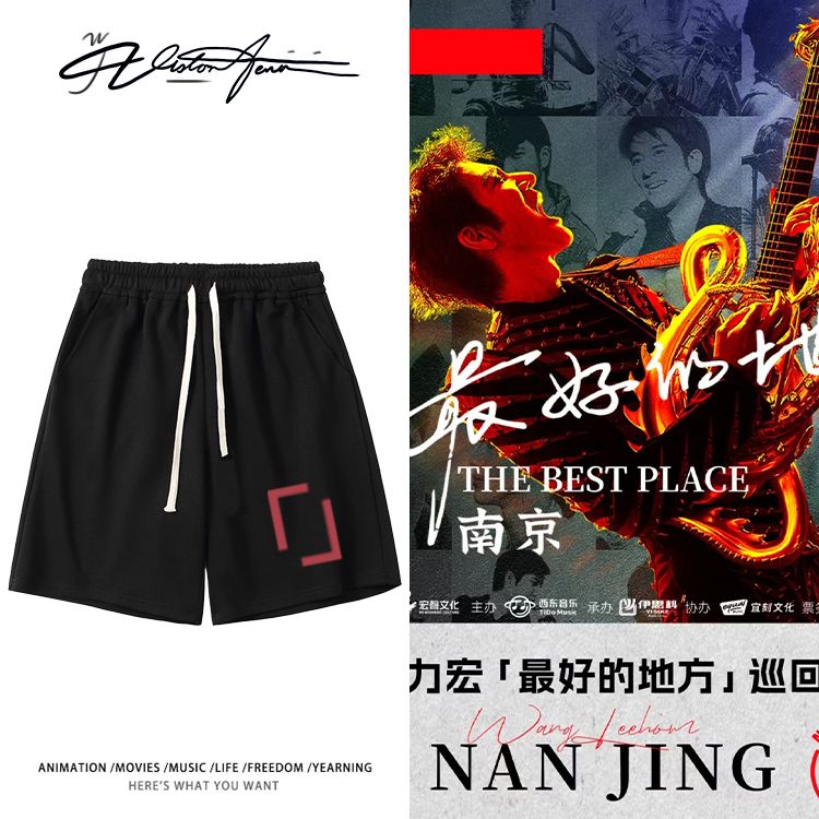 王力宏2025演唱会南京站同款周边印花短裤粉丝应援夏季宽松休闲